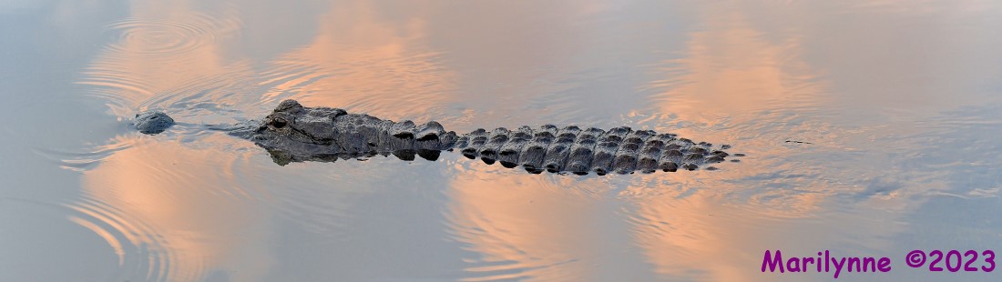 DSC_5650_stitch4_001.JPG