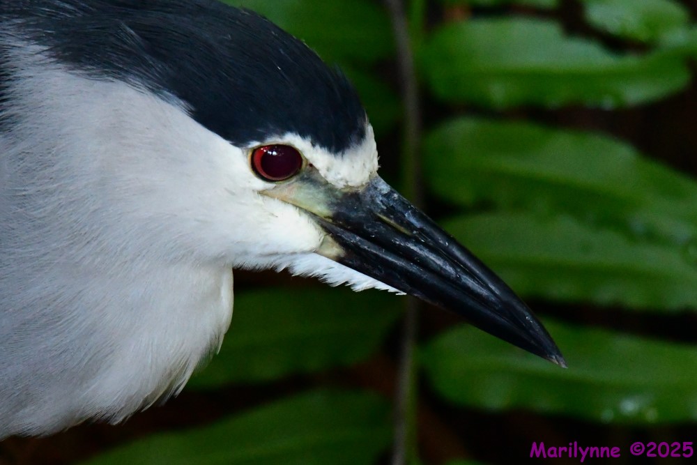 DSC_5653_001.JPG