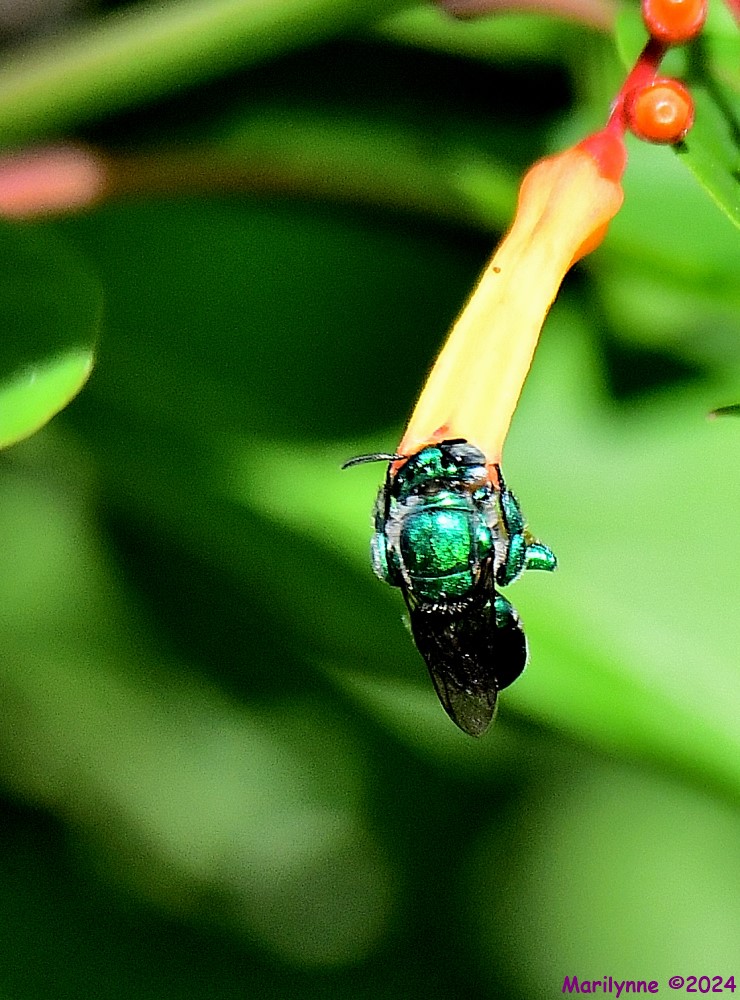 DSC_5656_001.JPG
