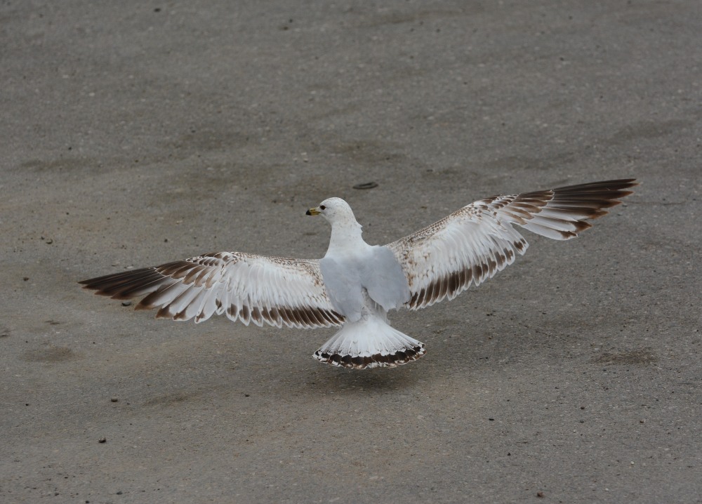 DSC_5658.JPG