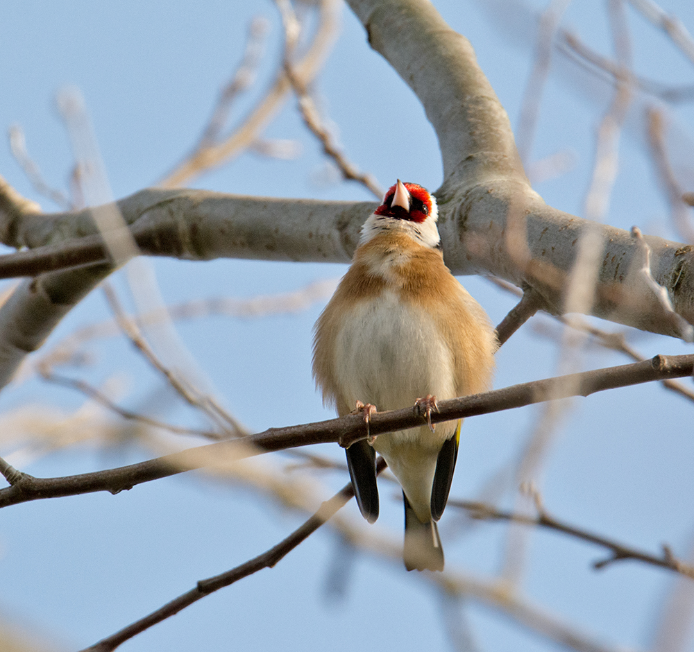 DSC_5658.jpg