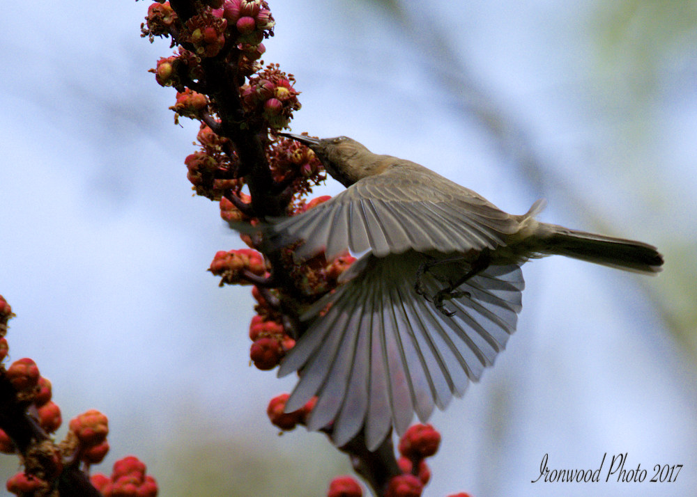 DSC_5658.jpg