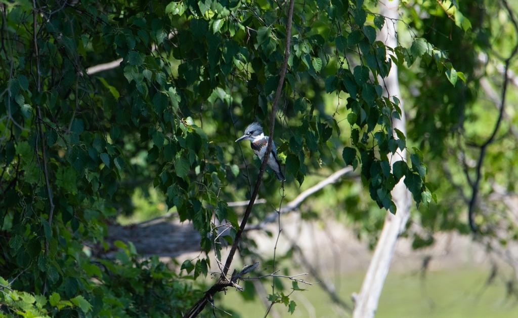 DSC_5659.jpg