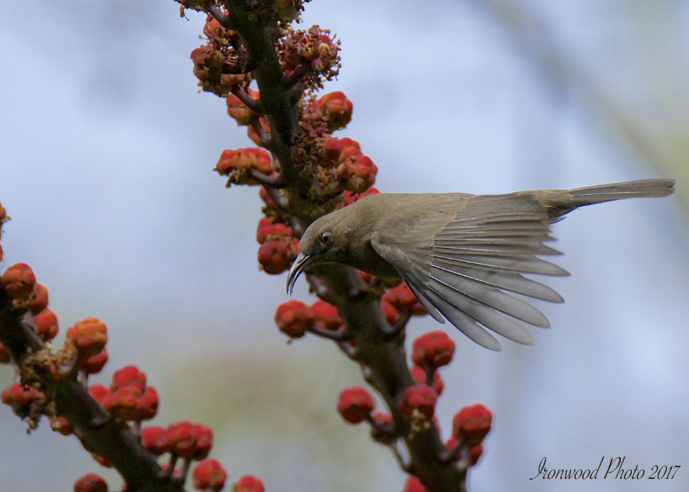 DSC_5660.jpg