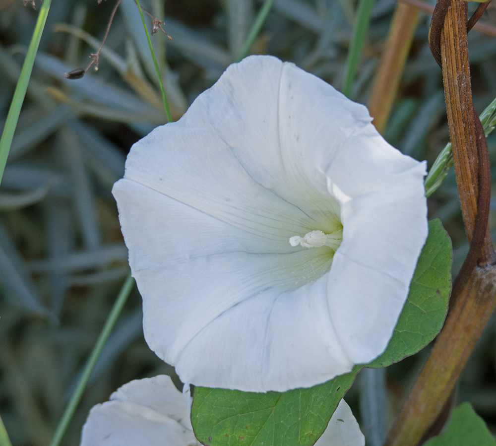 DSC_5660.jpg