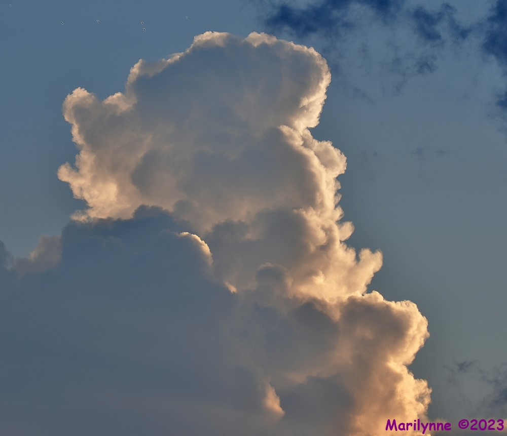 DSC_5663_001.JPG