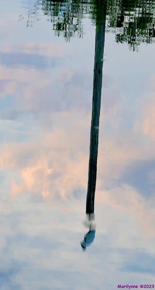 DSC_5665_001.JPG