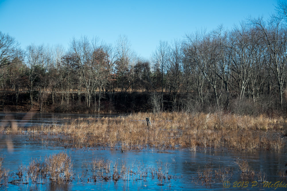 DSC_5667.jpg