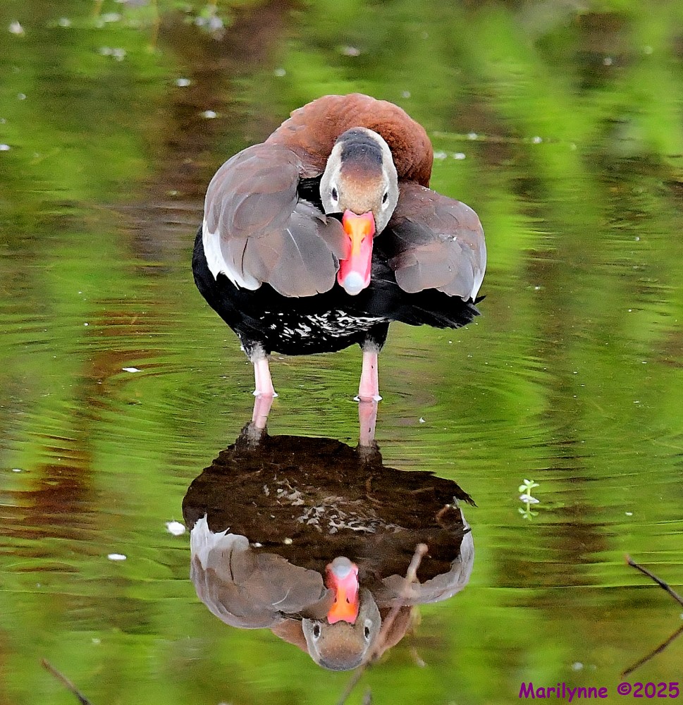 DSC_5669_001.JPG