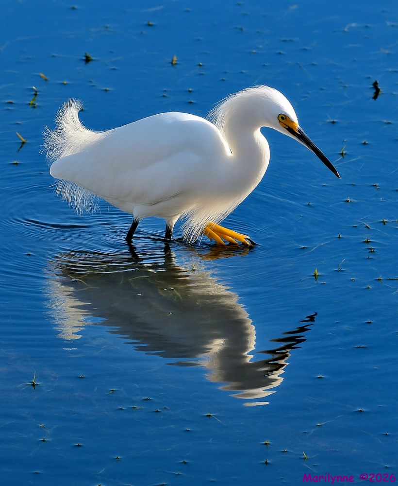 DSC_5672 copy_001.JPG