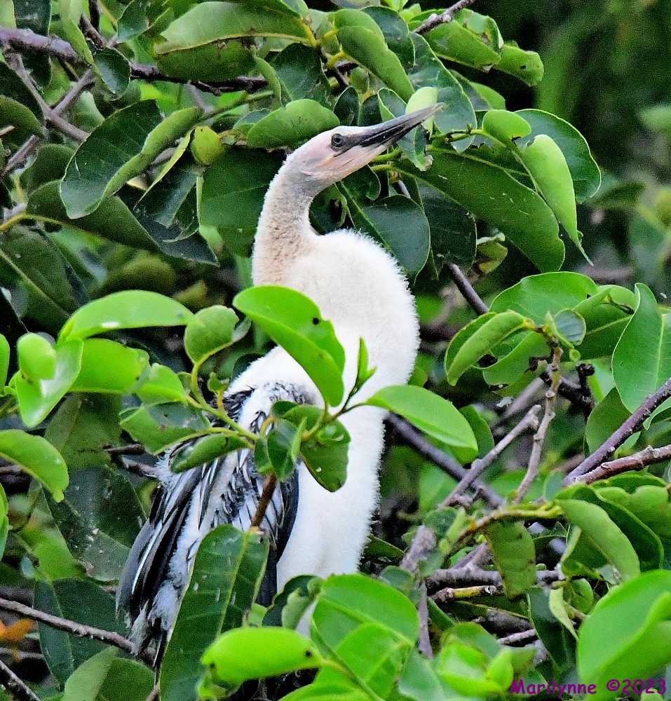 DSC_5674_001.JPG