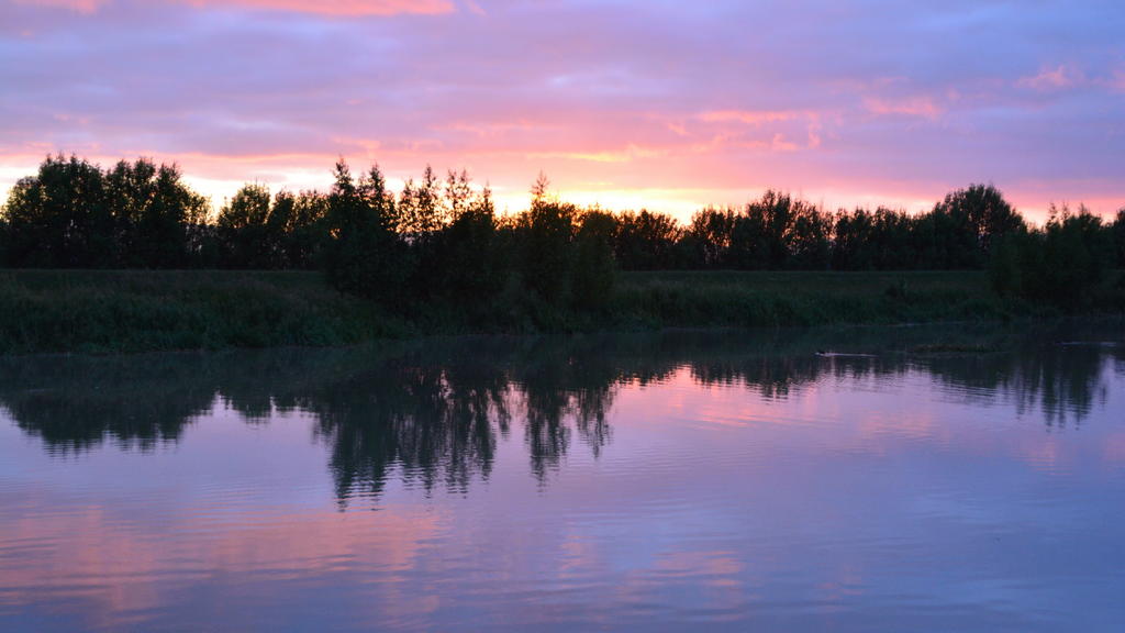 DSC_5676.jpg