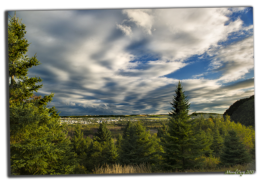 DSC_5676.jpg