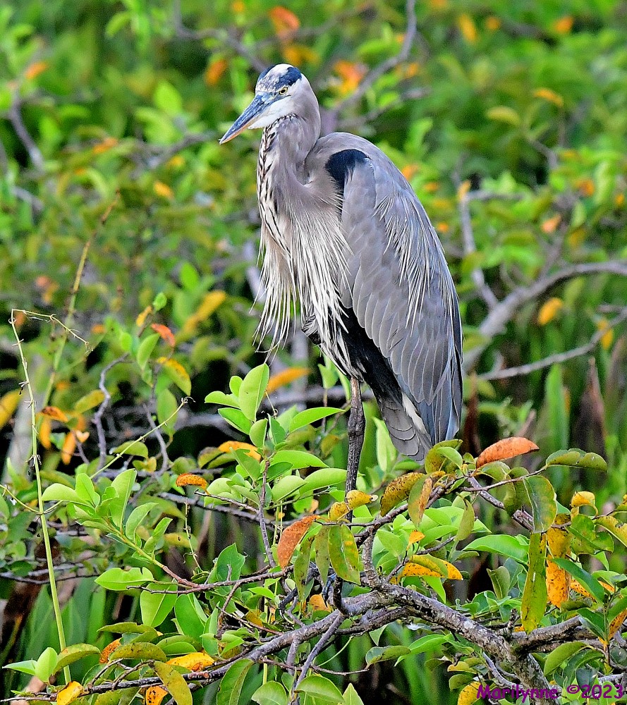 DSC_5676_001.JPG