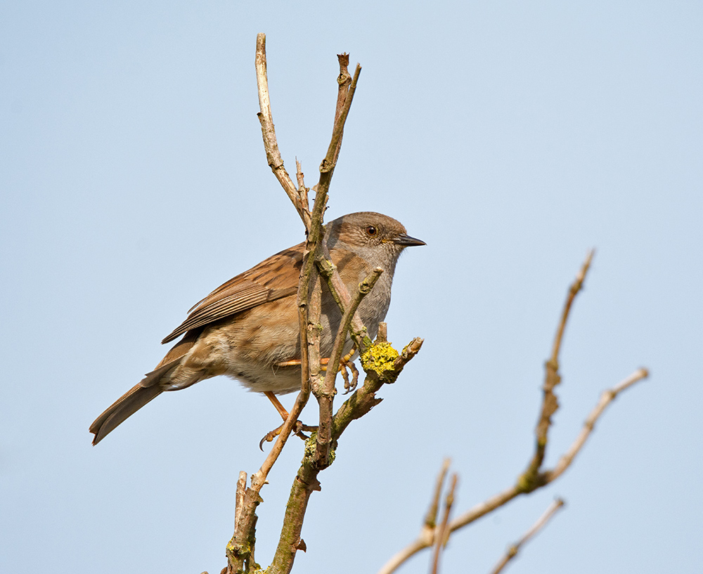 DSC_5677.jpg