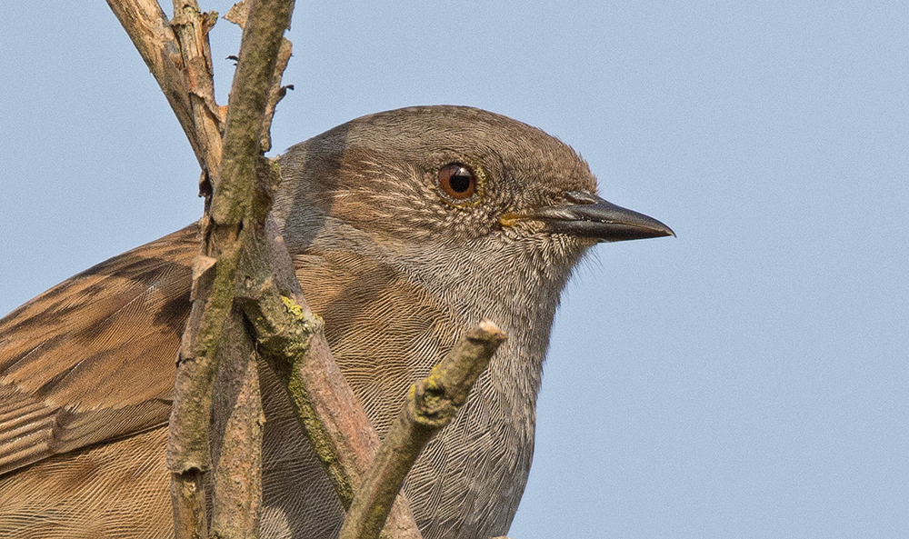 DSC_5677.jpg