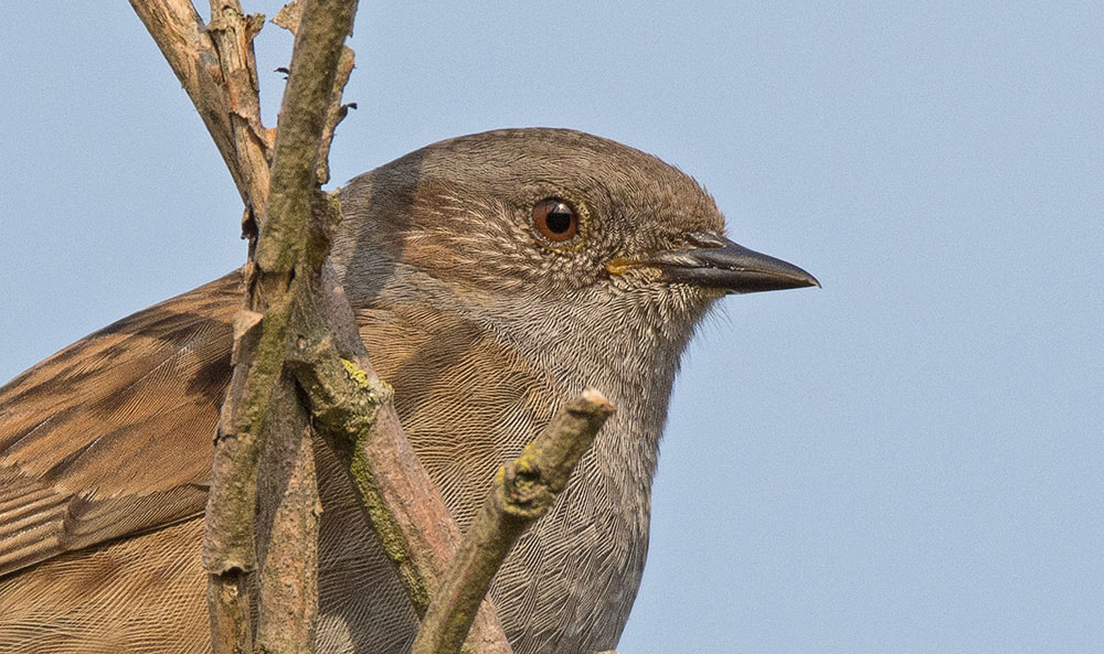 DSC_5677p.jpg