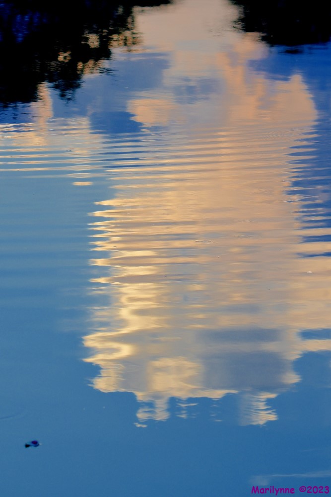 DSC_5679_001.JPG