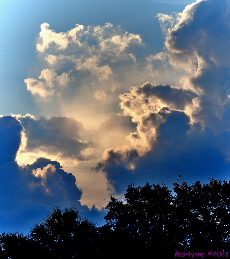 DSC_5684_stitch5_001.JPG