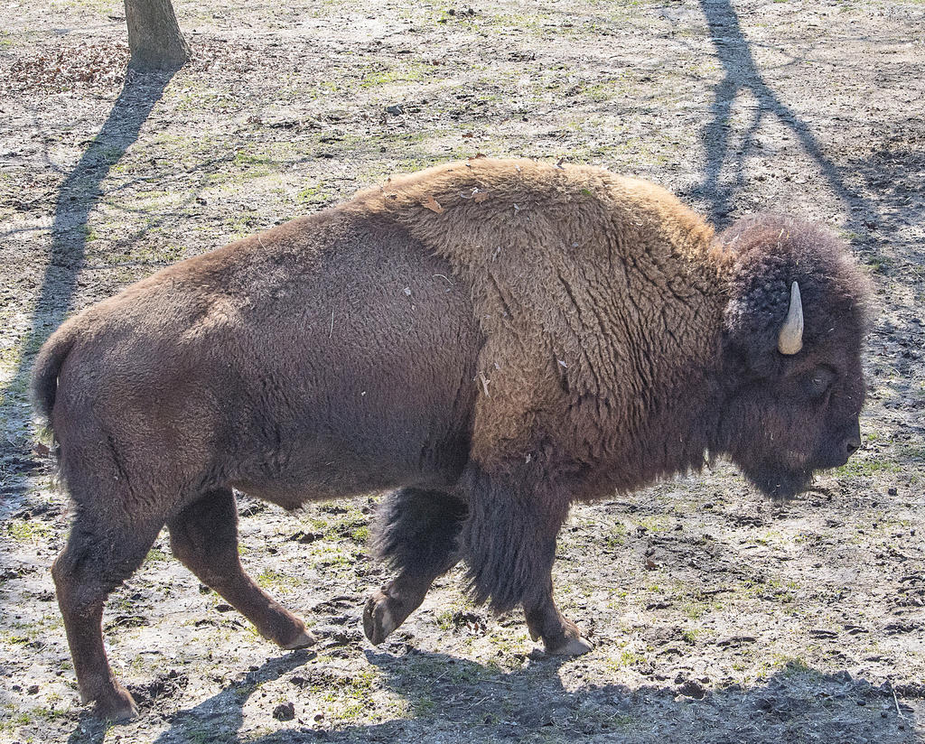 DSC_5687.jpg