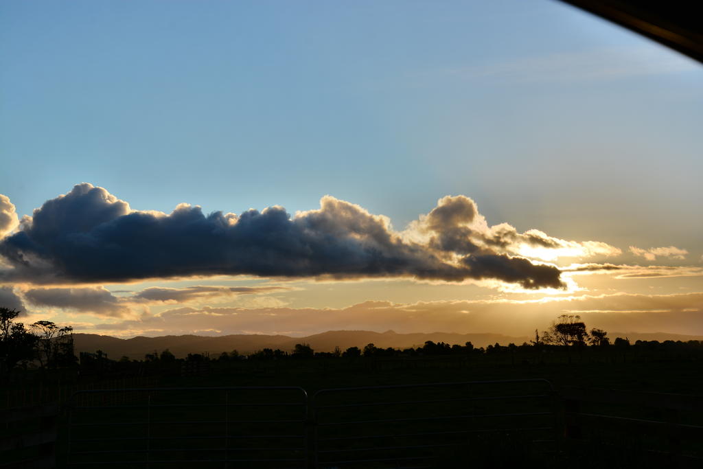 DSC_5691.jpg