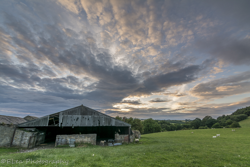 DSC_5691.jpg