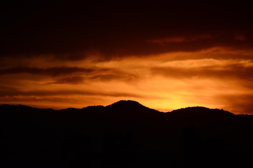 DSC_5692.jpg