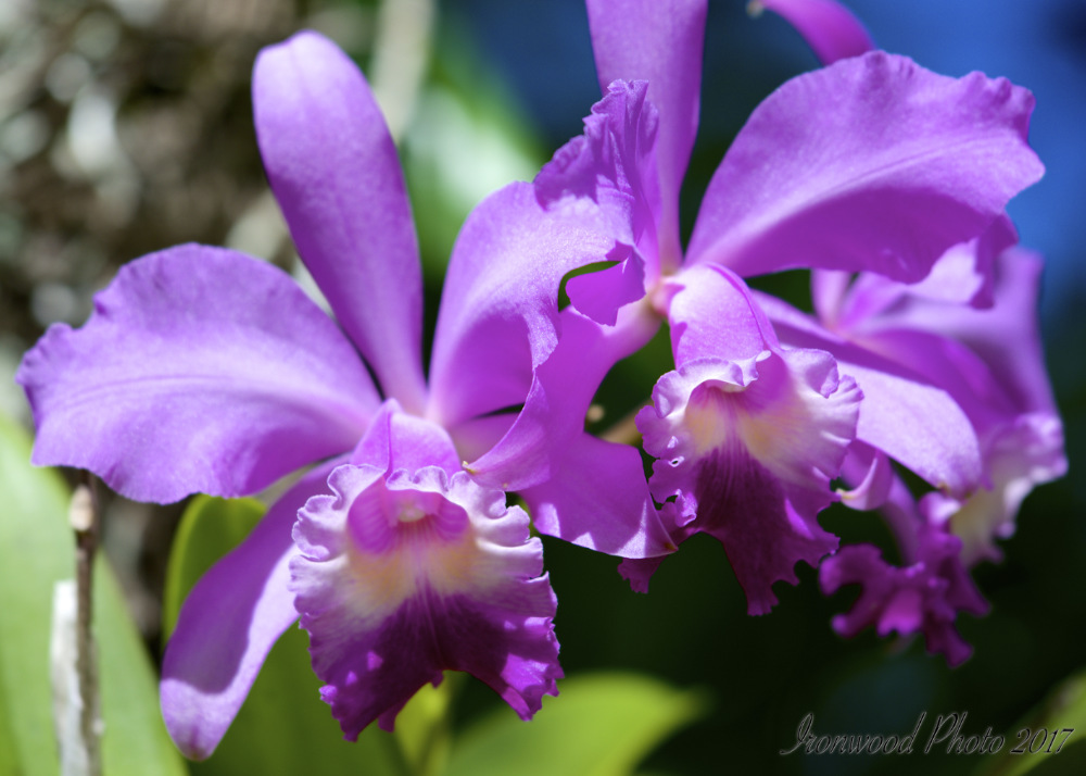 DSC_5692.jpg
