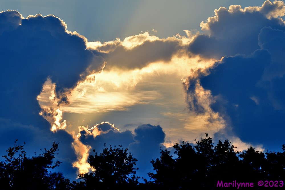 DSC_5692_001.JPG