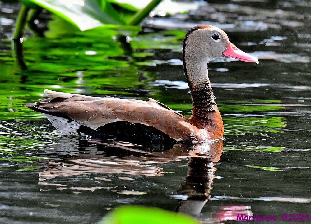 DSC_5692_001.JPG