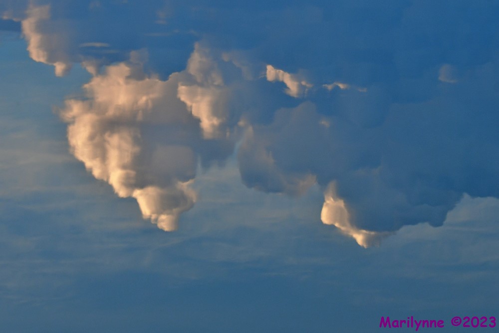 DSC_5697_001.JPG