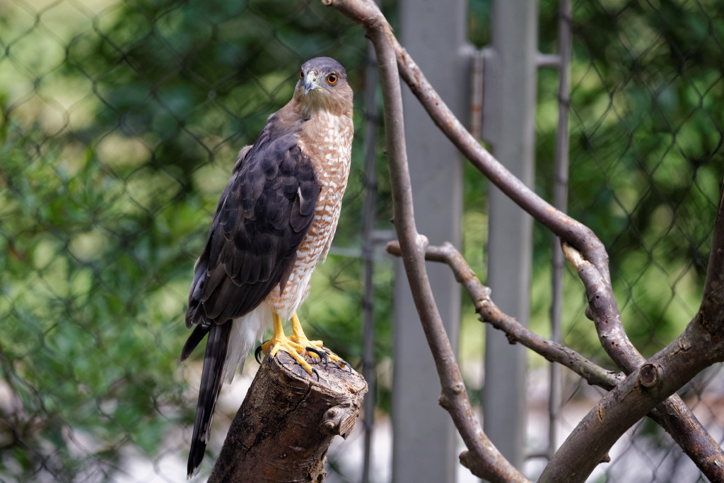 DSC_5699_DxO.jpg