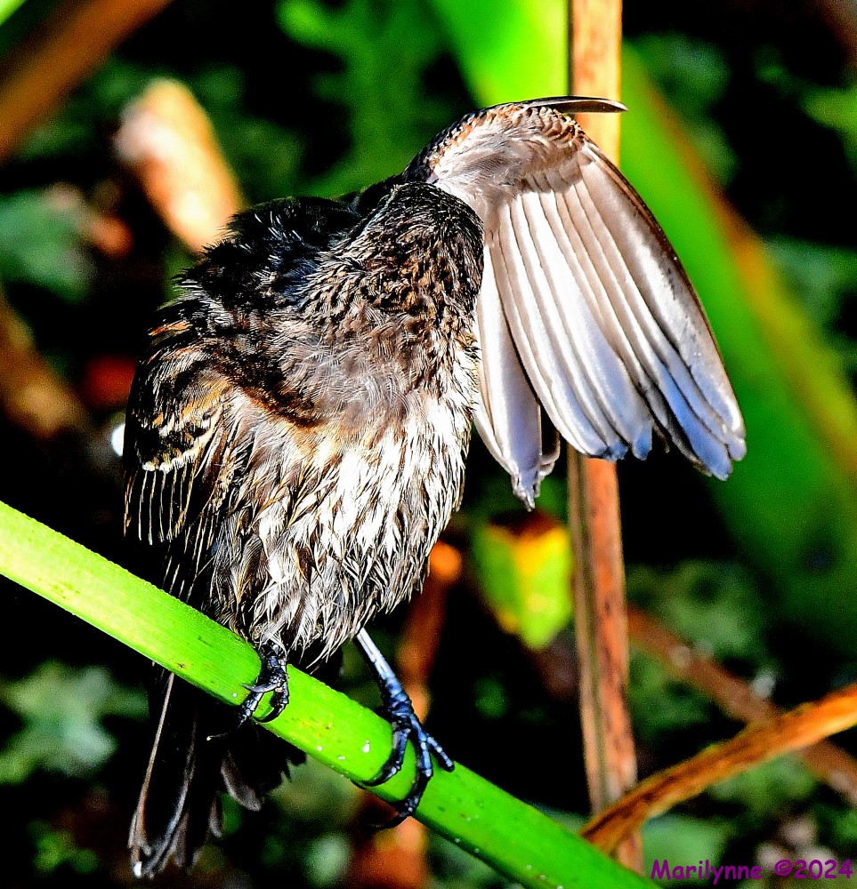DSC_5702_001.JPG