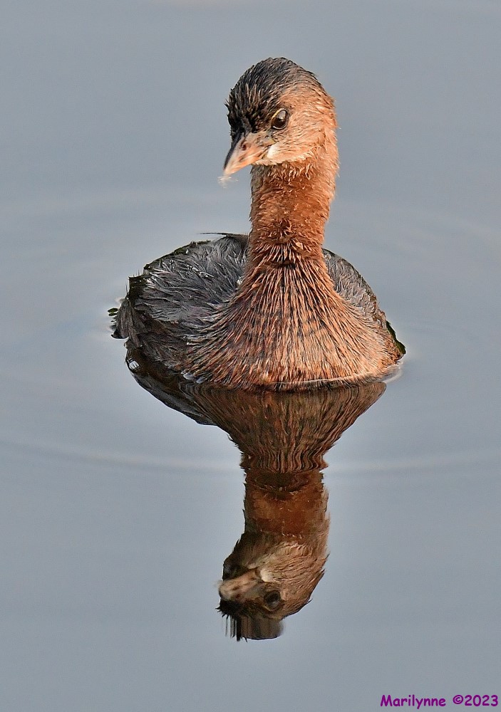 DSC_5703_001.JPG