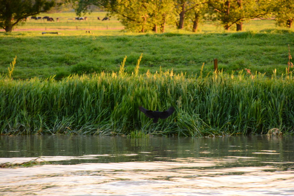 DSC_5704.jpg