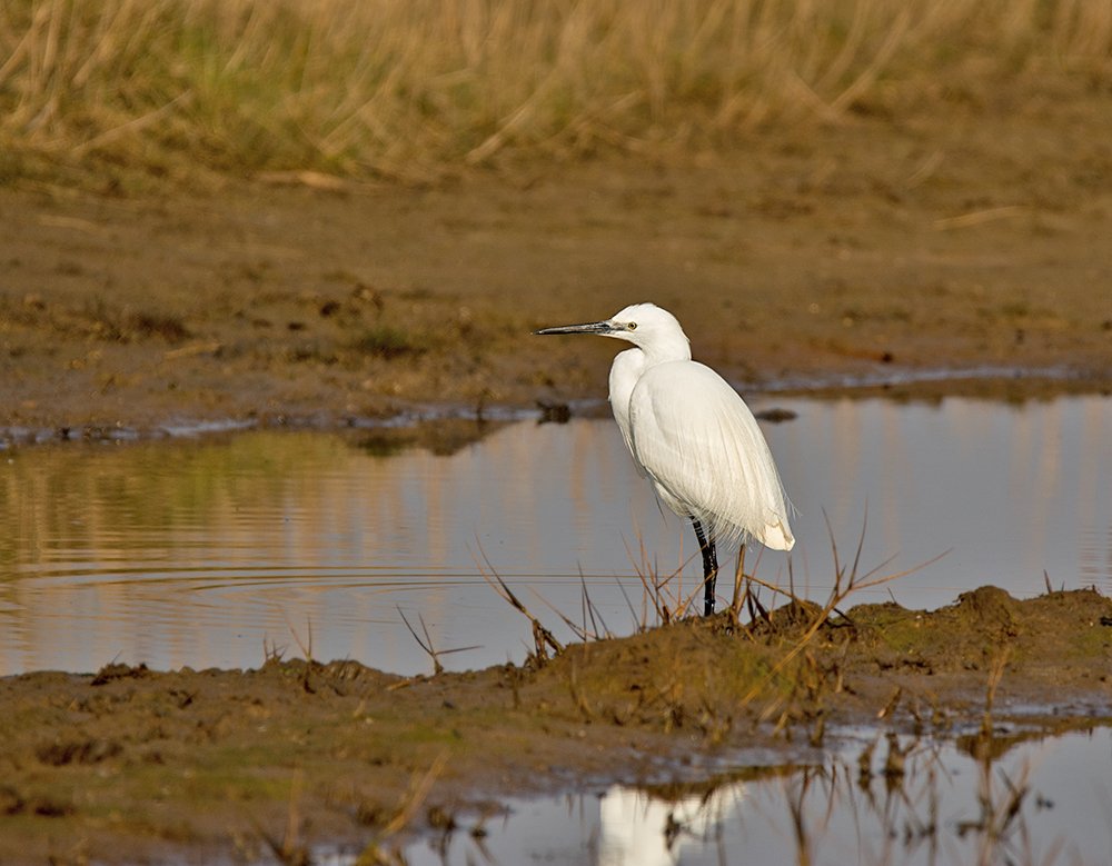 DSC_5704.jpg
