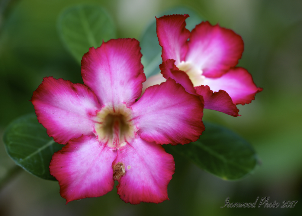 DSC_5705.jpg