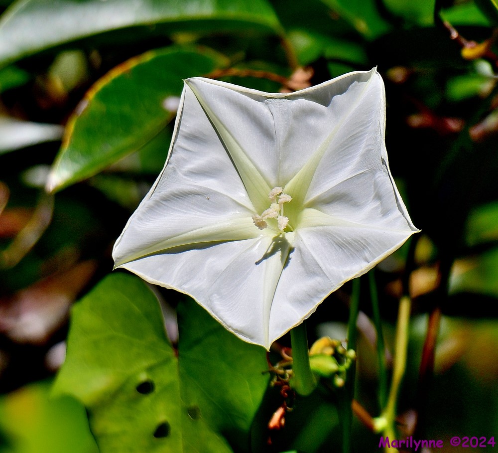 DSC_5707_001.JPG