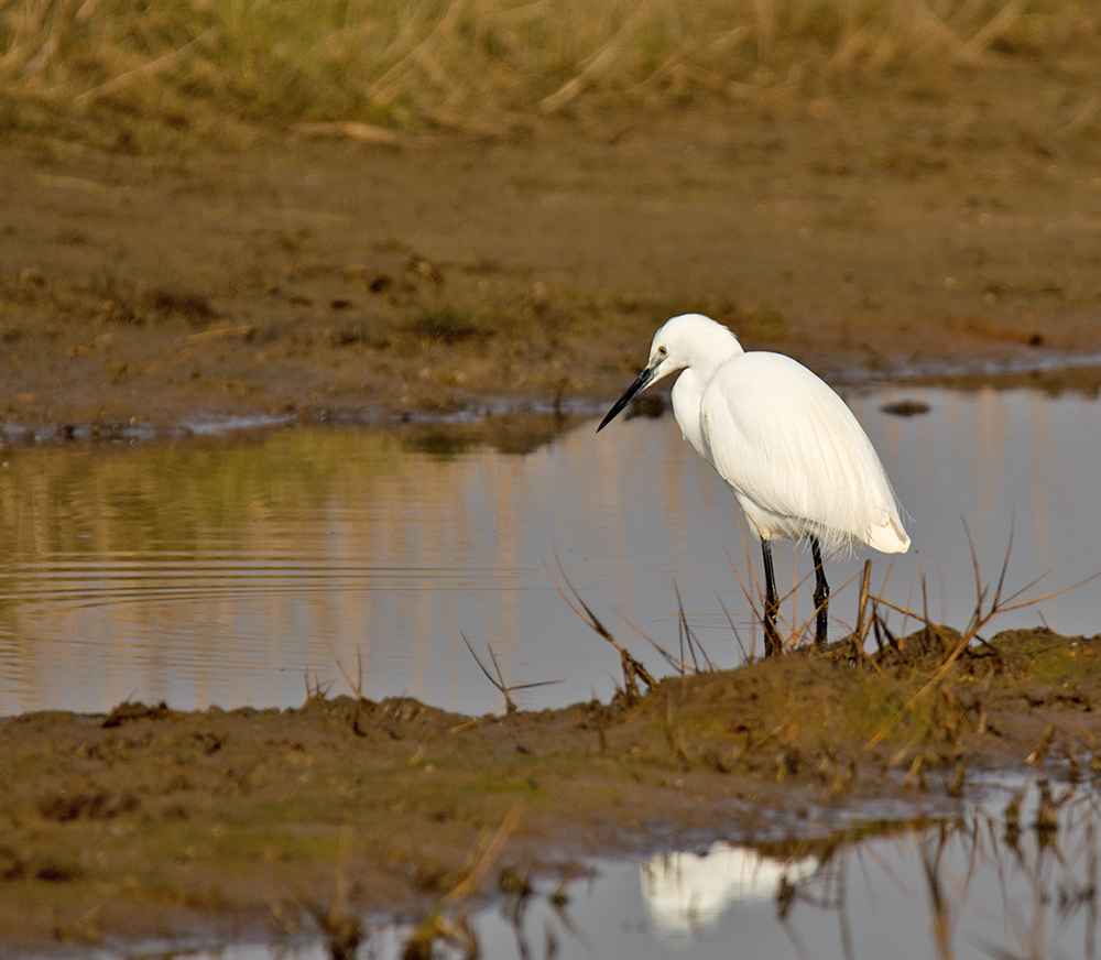 DSC_5708.jpg