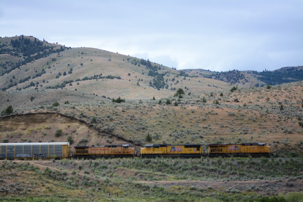 DSC_5708.JPG