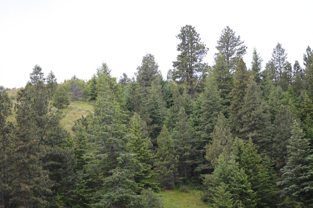 DSC_5711.JPG