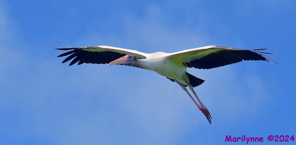 DSC_5711_001.JPG