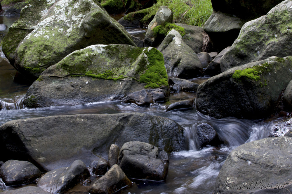 DSC_5713.jpg