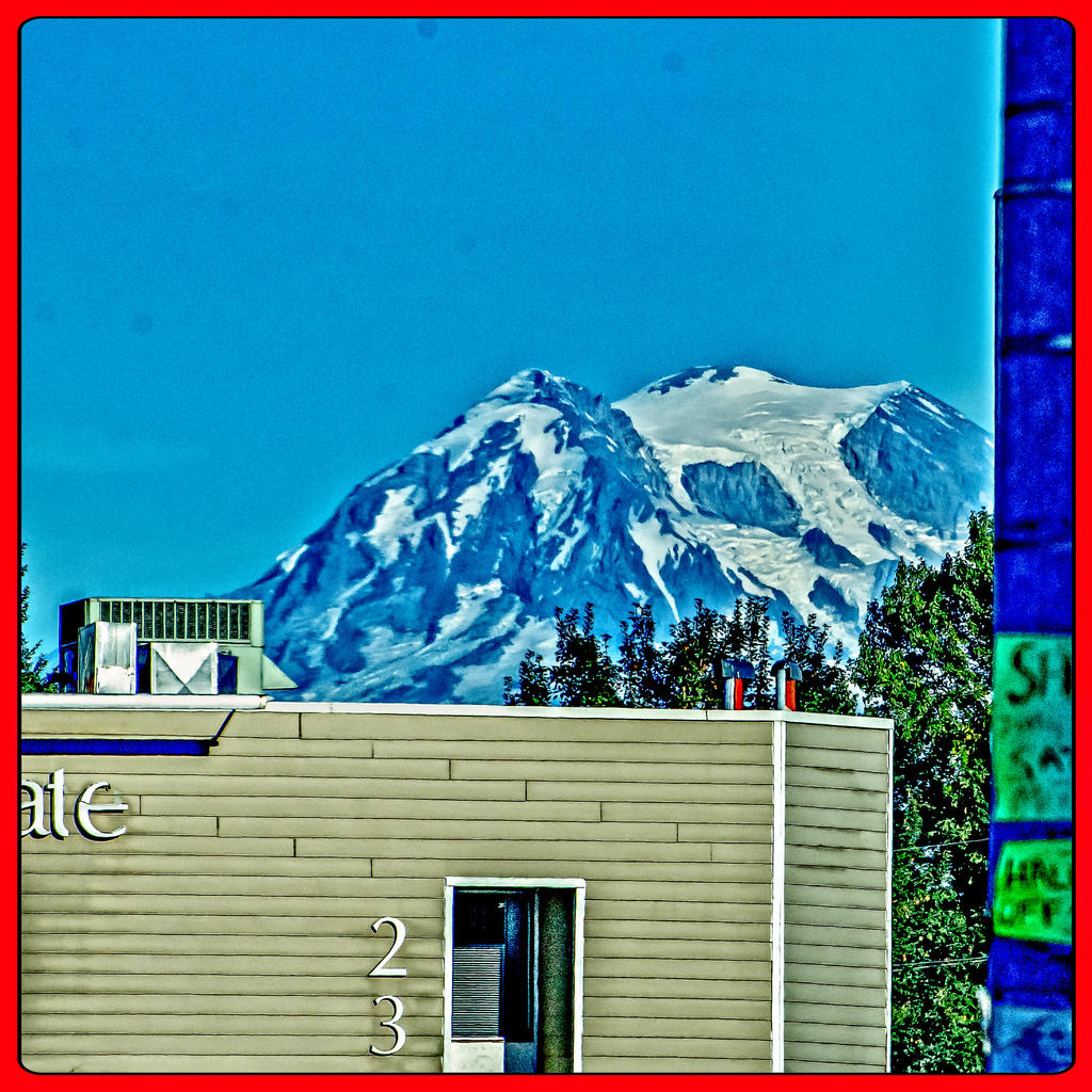 DSC_5714-Edit.jpg
