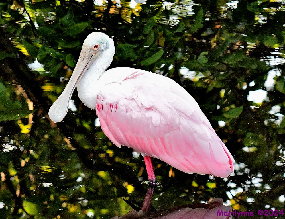 DSC_5714_001.JPG