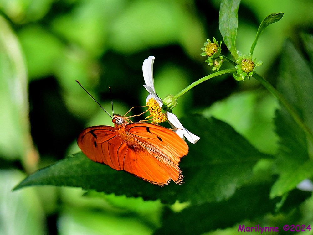 DSC_5714_001.JPG