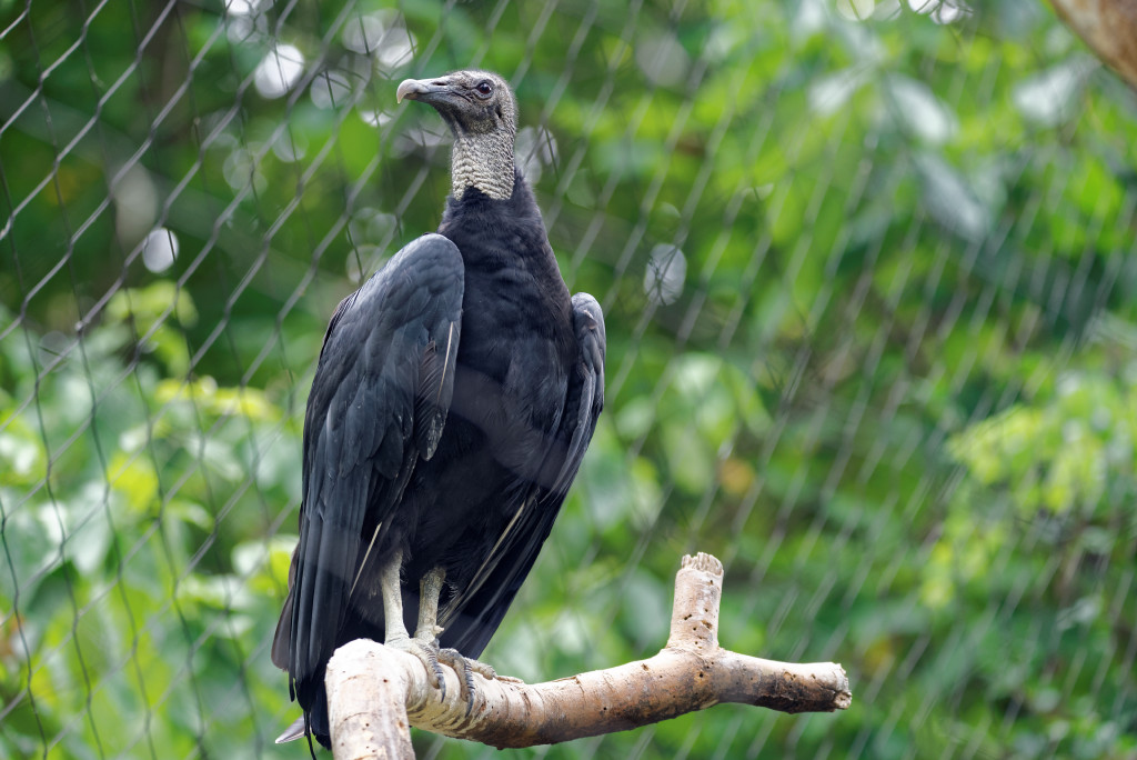 DSC_5714_DxO.jpg