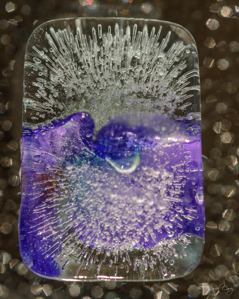 DSC_5715.jpg