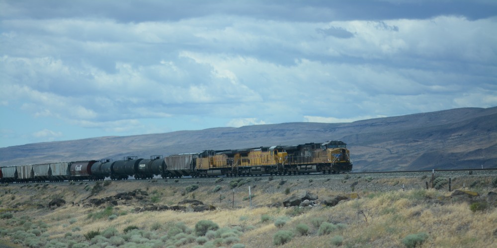 DSC_5718.JPG