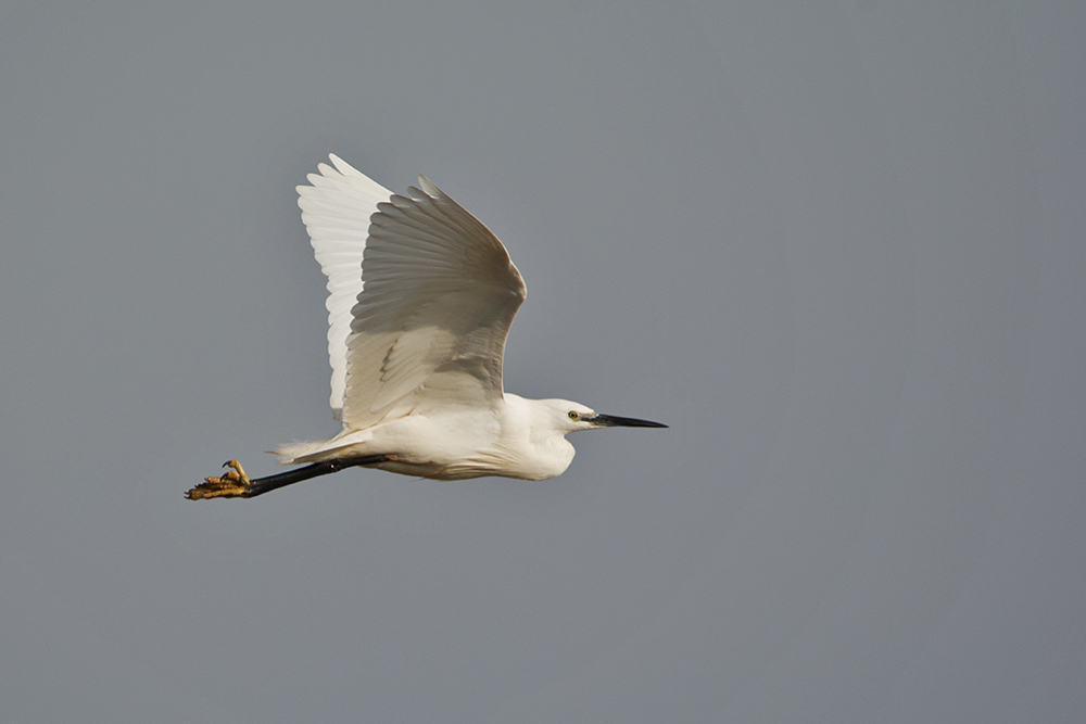 DSC_5719.jpg